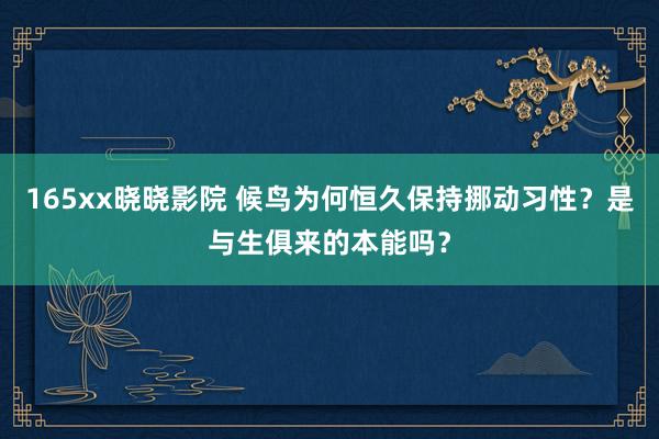 165xx晓晓影院 候鸟为何恒久保持挪动习性？是与生俱来的本能吗？