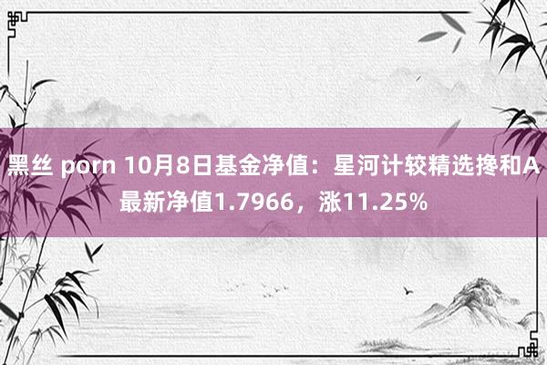 黑丝 porn 10月8日基金净值：星河计较精选搀和A最新净值1.7966，涨11.25%