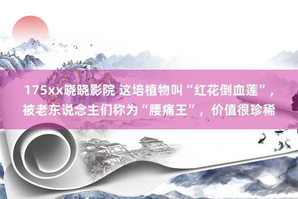 175xx晓晓影院 这培植物叫“红花倒血莲”，被老东说念主们称为“腰痛王”，价值很珍稀