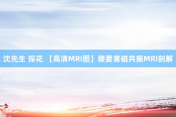 沈先生 探花 【高清MRI图】膝要害磁共振MRI剖解