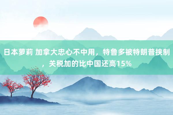 日本萝莉 加拿大忠心不中用，特鲁多被特朗普挟制，关税加的比中国还高15%