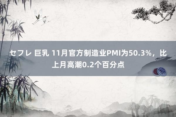 セフレ 巨乳 11月官方制造业PMI为50.3%，比上月高潮0.2个百分点