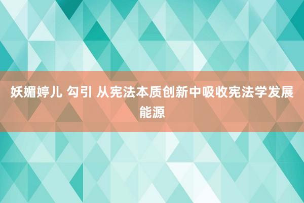 妖媚婷儿 勾引 从宪法本质创新中吸收宪法学发展能源