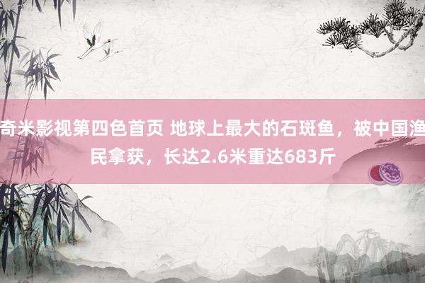 奇米影视第四色首页 地球上最大的石斑鱼，被中国渔民拿获，长达2.6米重达683斤
