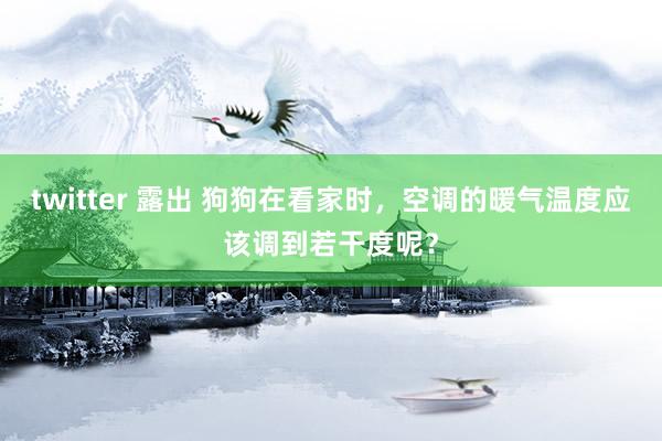 twitter 露出 狗狗在看家时，空调的暖气温度应该调到若干度呢？