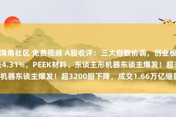 海角社区 免费视频 A股收评：三大指数协调，创业板指跌0.81%北证50跌4.31%，PEEK材料、东谈主形机器东谈主爆发！超3200股下降，成交1.66万亿缩量1564亿