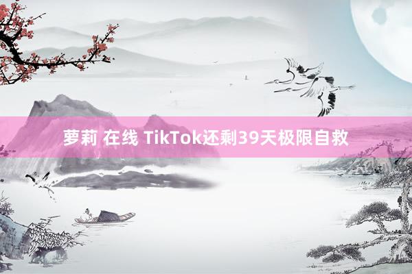 萝莉 在线 TikTok还剩39天极限自救
