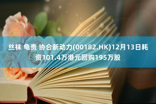 丝袜 龟责 协合新动力(00182.HK)12月13日耗资101.4万港元回购195万股
