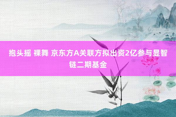 抱头摇 裸舞 京东方A关联方拟出资2亿参与显智链二期基金