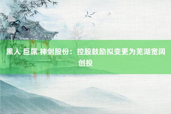 黑人 巨屌 神剑股份：控股鼓励拟变更为芜湖宽阔创投