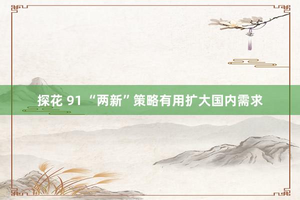 探花 91 “两新”策略有用扩大国内需求