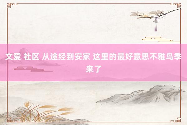 文爱 社区 从途经到安家 这里的最好意思不雅鸟季来了