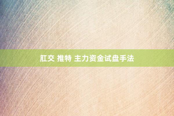 肛交 推特 主力资金试盘手法