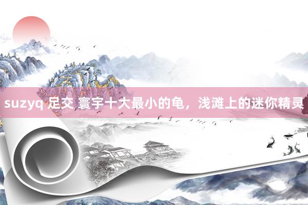 suzyq 足交 寰宇十大最小的龟，浅滩上的迷你精灵