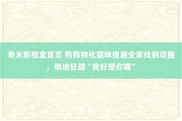奇米影视盒首页 狗狗物化猫咪搜遍全家找到项圈，倒地狂蹭“我好想你喔”