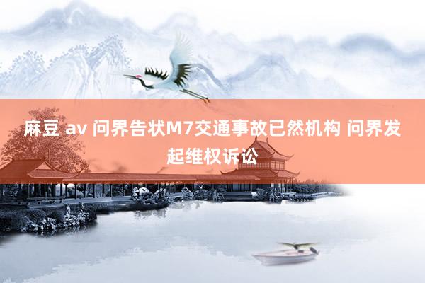 麻豆 av 问界告状M7交通事故已然机构 问界发起维权诉讼