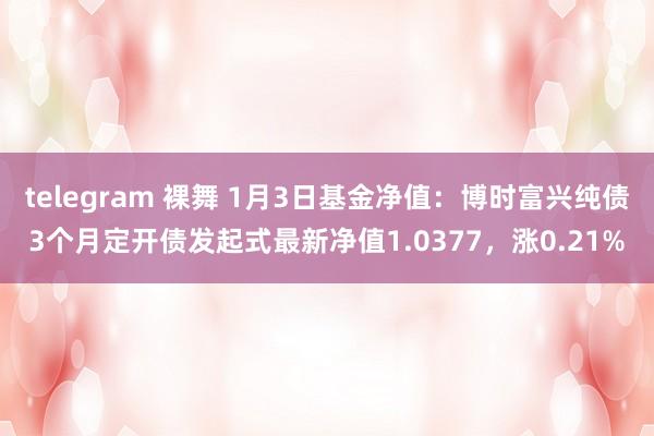 telegram 裸舞 1月3日基金净值：博时富兴纯债3个月定开债发起式最新净值1.0377，涨0.21%