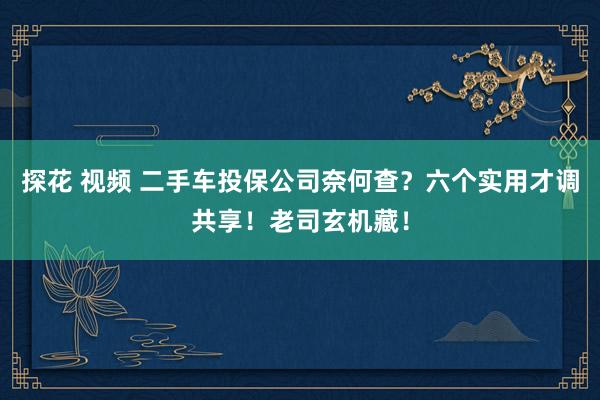 探花 视频 二手车投保公司奈何查？六个实用才调共享！老司玄机藏！