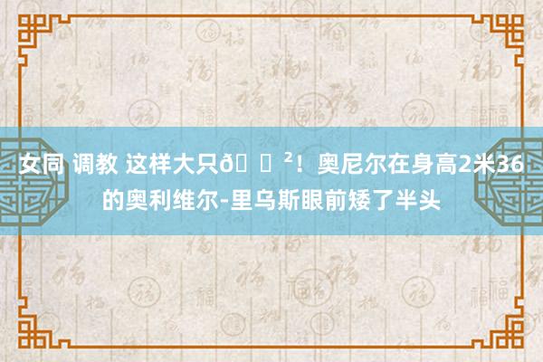 女同 调教 这样大只😲！奥尼尔在身高2米36的奥利维尔-里乌斯眼前矮了半头