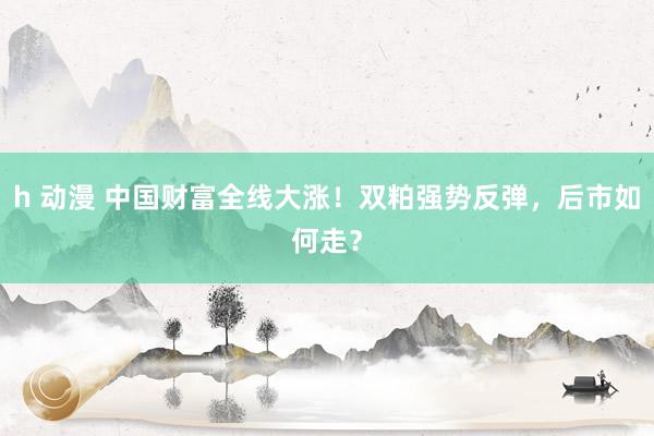 h 动漫 中国财富全线大涨！双粕强势反弹，后市如何走？