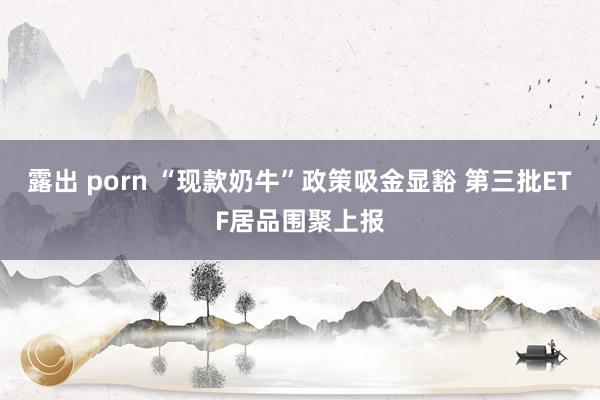 露出 porn “现款奶牛”政策吸金显豁 第三批ETF居品围聚上报