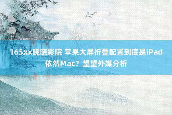 165xx晓晓影院 苹果大屏折叠配置到底是iPad依然Mac？望望外媒分析