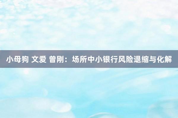 小母狗 文爱 曾刚：场所中小银行风险退缩与化解