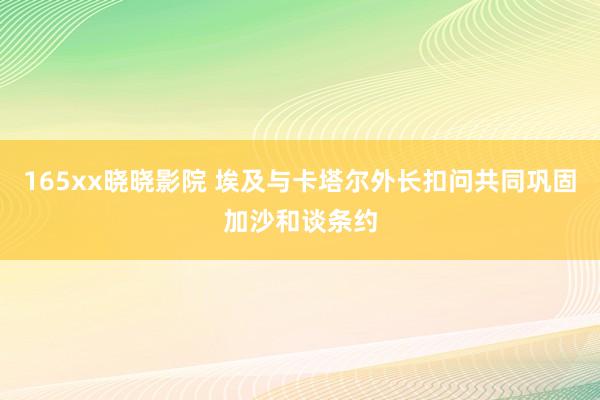 165xx晓晓影院 埃及与卡塔尔外长扣问共同巩固加沙和谈条约