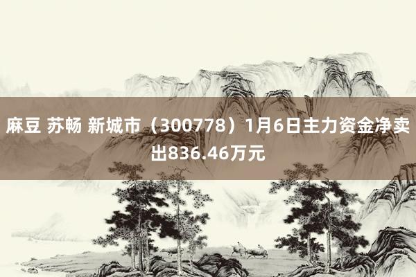麻豆 苏畅 新城市（300778）1月6日主力资金净卖出836.46万元