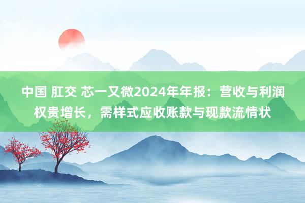 中国 肛交 芯一又微2024年年报：营收与利润权贵增长，需样式应收账款与现款流情状