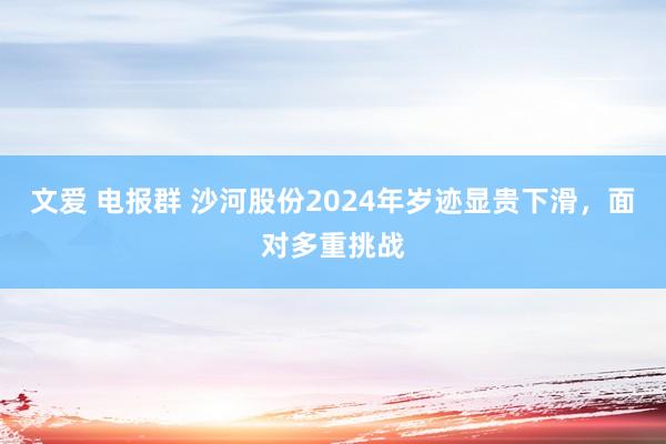 文爱 电报群 沙河股份2024年岁迹显贵下滑，面对多重挑战