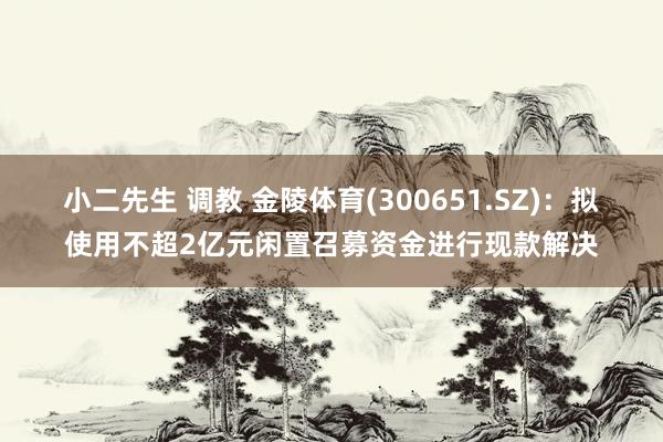 小二先生 调教 金陵体育(300651.SZ)：拟使用不超2亿元闲置召募资金进行现款解决