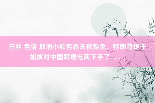 白丝 色情 取消小额包裹关税豁免，特朗普终于如故对中国跨境电商下手了……