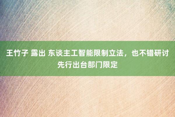 王竹子 露出 东谈主工智能限制立法，也不错研讨先行出台部门限定