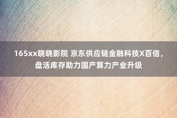 165xx晓晓影院 京东供应链金融科技X百信，盘活库存助力国产算力产业升级