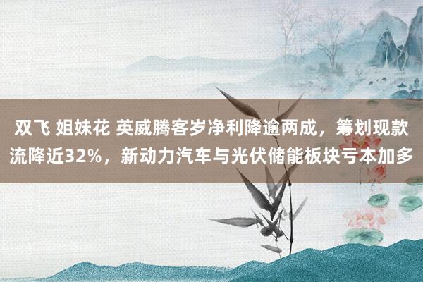 双飞 姐妹花 英威腾客岁净利降逾两成，筹划现款流降近32%，新动力汽车与光伏储能板块亏本加多