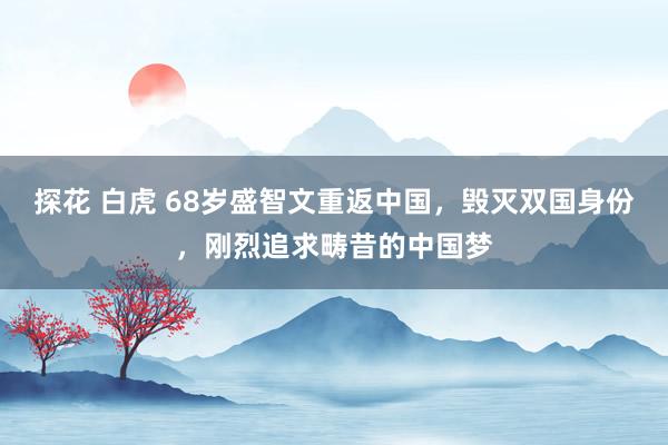 探花 白虎 68岁盛智文重返中国，毁灭双国身份，刚烈追求畴昔的中国梦