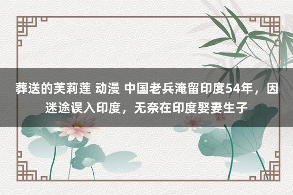 葬送的芙莉莲 动漫 中国老兵淹留印度54年，因迷途误入印度，无奈在印度娶妻生子