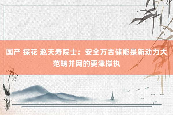 国产 探花 赵天寿院士：安全万古储能是新动力大范畴并网的要津撑执