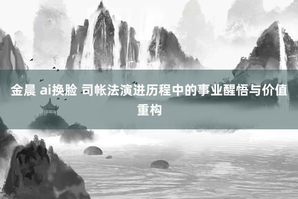 金晨 ai换脸 司帐法演进历程中的事业醒悟与价值重构