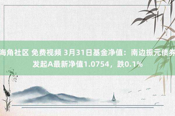 海角社区 免费视频 3月31日基金净值：南边振元债券发起A最新净值1.0754，跌0.1%