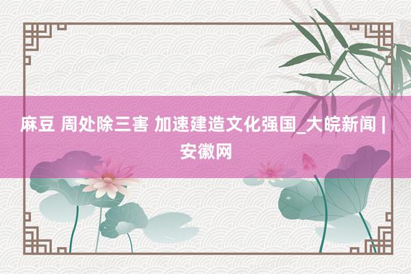 麻豆 周处除三害 加速建造文化强国_大皖新闻 | 安徽网