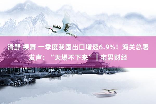 清野 裸舞 一季度我国出口增速6.9%！海关总署发声：“天塌不下来”｜宅男财经