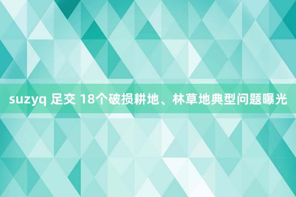 suzyq 足交 18个破损耕地、林草地典型问题曝光