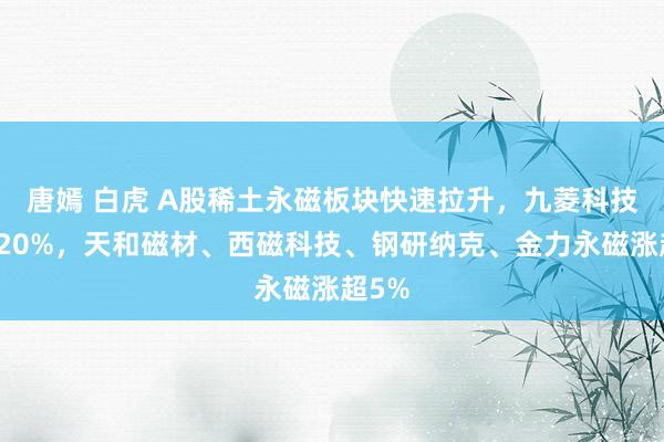 唐嫣 白虎 A股稀土永磁板块快速拉升，九菱科技涨超20%，天和磁材、西磁科技、钢研纳克、金力永磁涨超5%