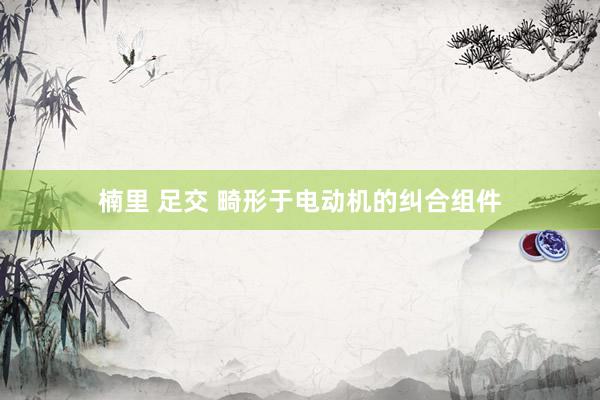 楠里 足交 畸形于电动机的纠合组件