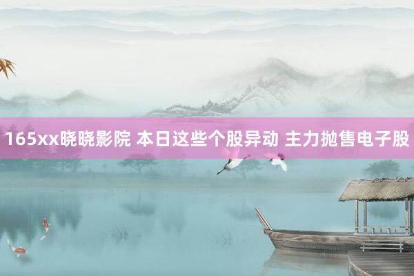 165xx晓晓影院 本日这些个股异动 主力抛售电子股