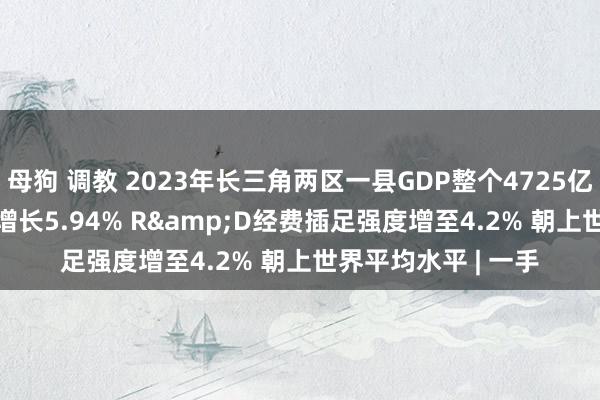 母狗 调教 2023年长三角两区一县GDP整个4725亿元 较2019年年均增长5.94% R&D经费插足强度增至4.2% 朝上世界平均水平 | 一手